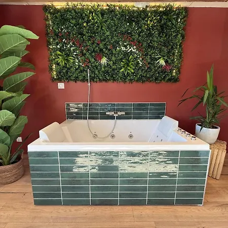 Jungle Romantique, Bain Et Cheminee Saint-Folquin